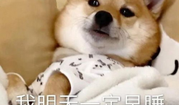 吃瓜大爆料合集视频大全,揭秘合集视频中的热点事件与幕后真相